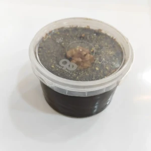 443ea835-841e-46c5-9072-16a1cfac0104