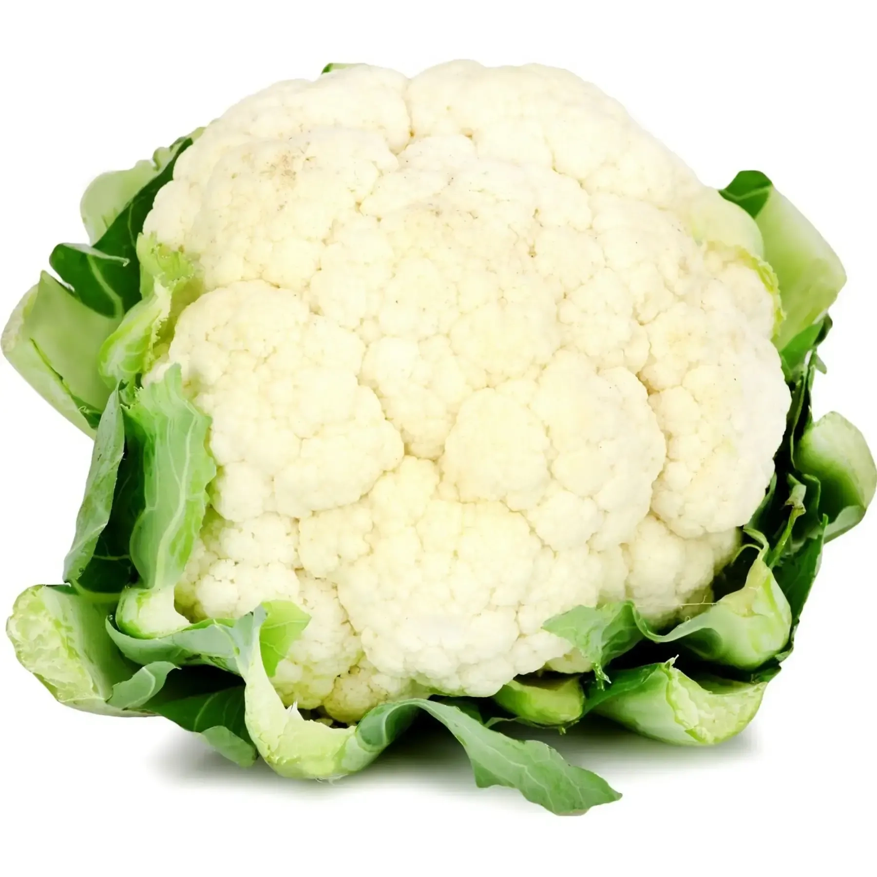 chou fleur2022220010018-1