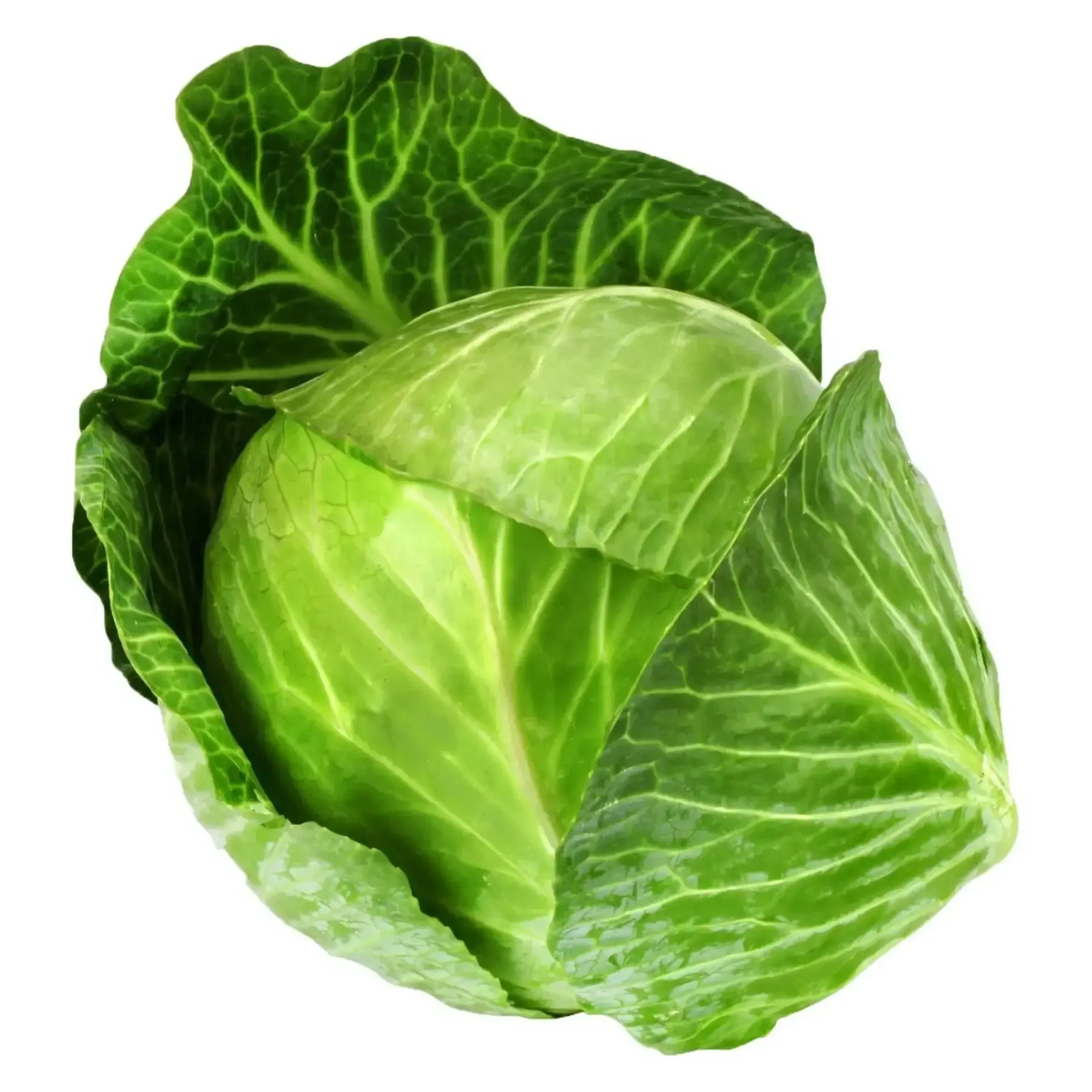 كرنب 2022220010025-1