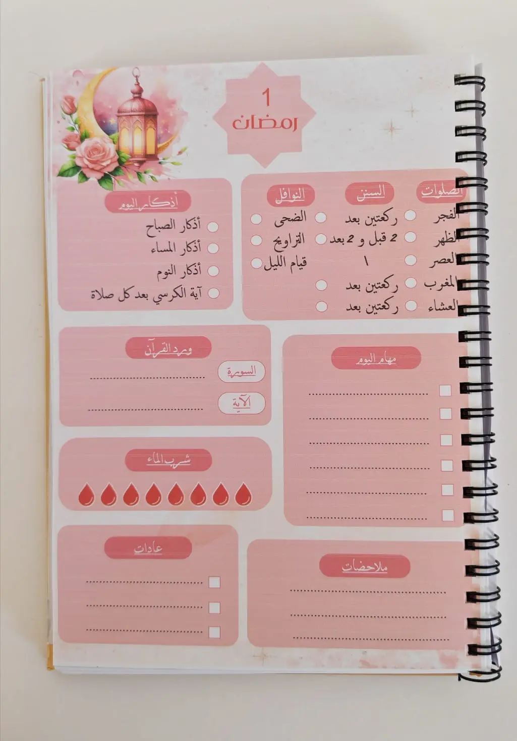 WhatsApp Image 2026-02-08 at 21.16.18 (1)