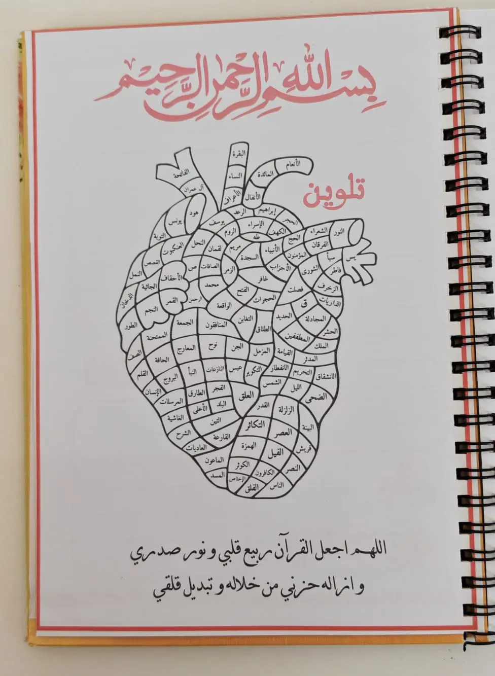 WhatsApp Image 2026-02-08 at 21.16.18