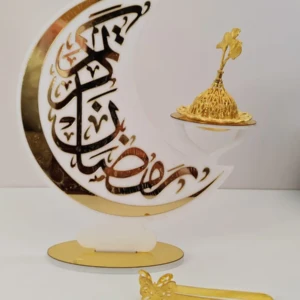 WhatsApp Image 2026-02-08 at 21.16.23