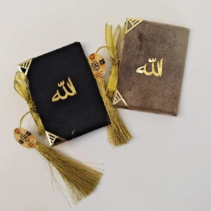 WhatsApp Image 2026-02-08 at 21.16.26