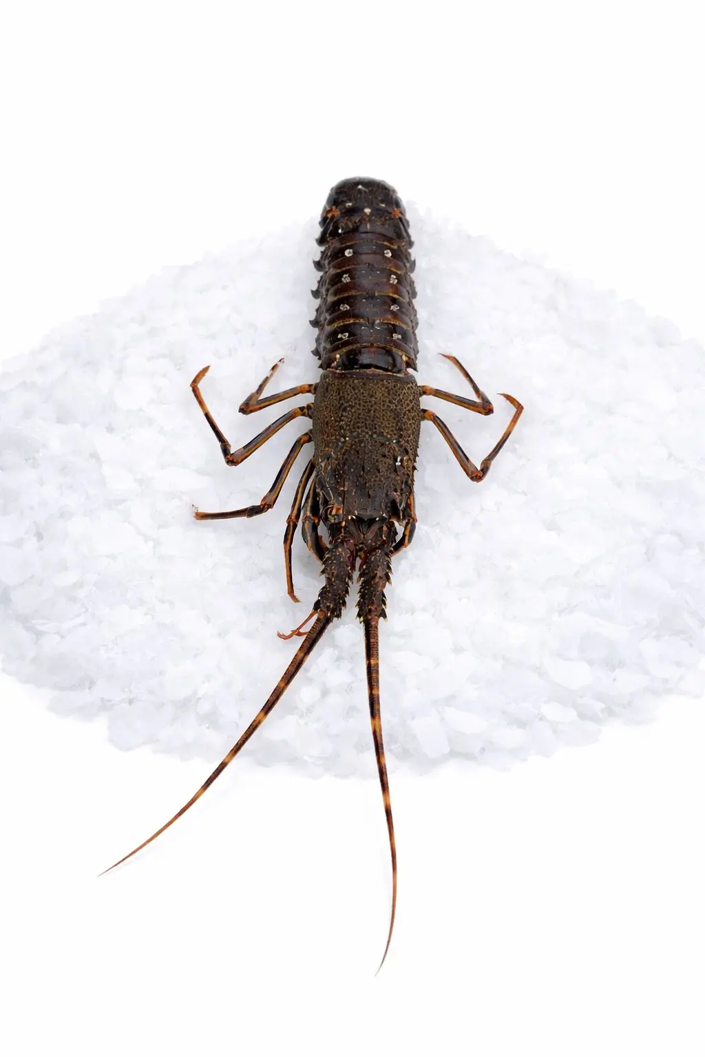 1f4919c0-1795-4e10-9bd1-7c9910157f40