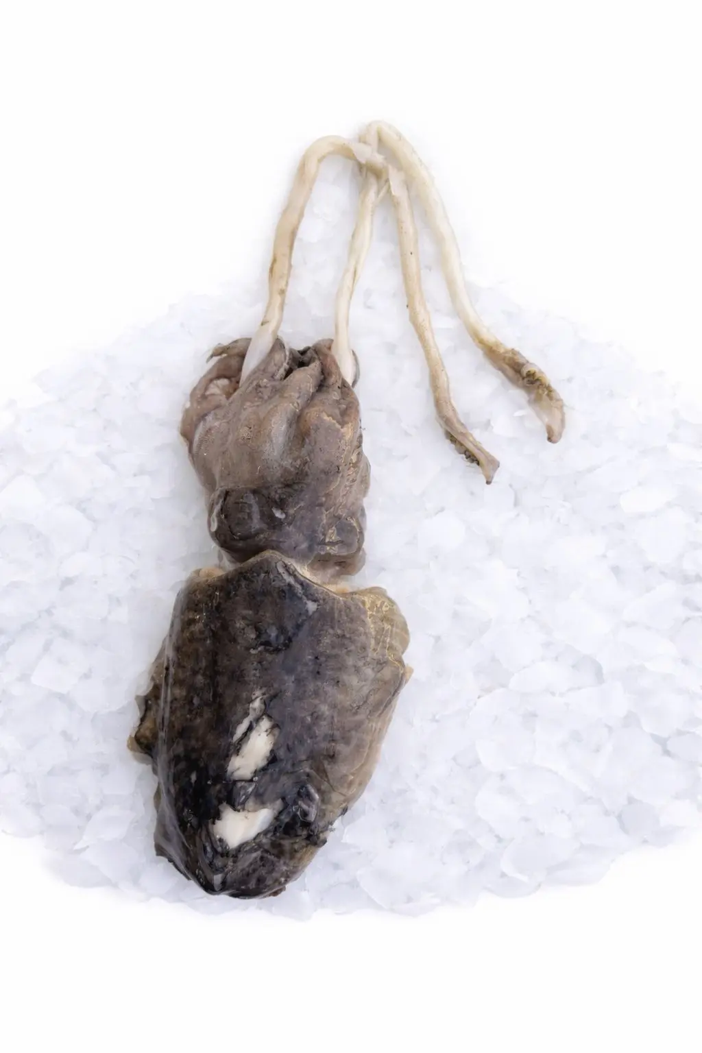 207bc639-718a-4371-b09b-7d8c2474be1f