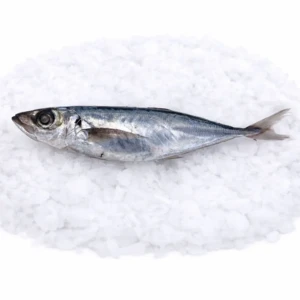 244daaf9-89eb-4b71-9a37-9982edea6e17