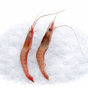 3f1e160c-62f3-4bd8-8a61-bd690c928df3