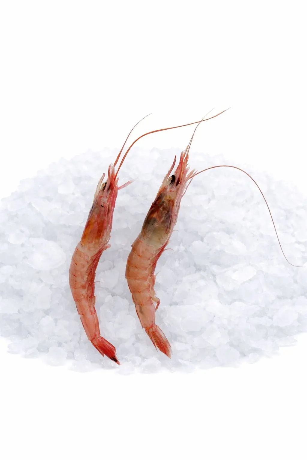 3f1e160c-62f3-4bd8-8a61-bd690c928df3