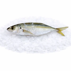 4d61d635-a0d8-4c3e-a03e-34b318c79ac8