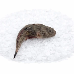 71cdfa9e-71cc-4cfd-97da-a3ac9e59e5eb