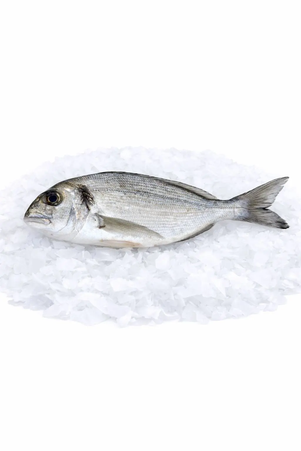 83d339f4-3feb-49b6-94b8-6b922021617d