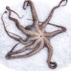 b1e28703-1260-45f2-84ca-2ead2728e6d9