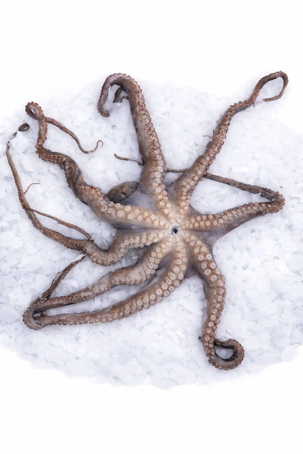 b1e28703-1260-45f2-84ca-2ead2728e6d9