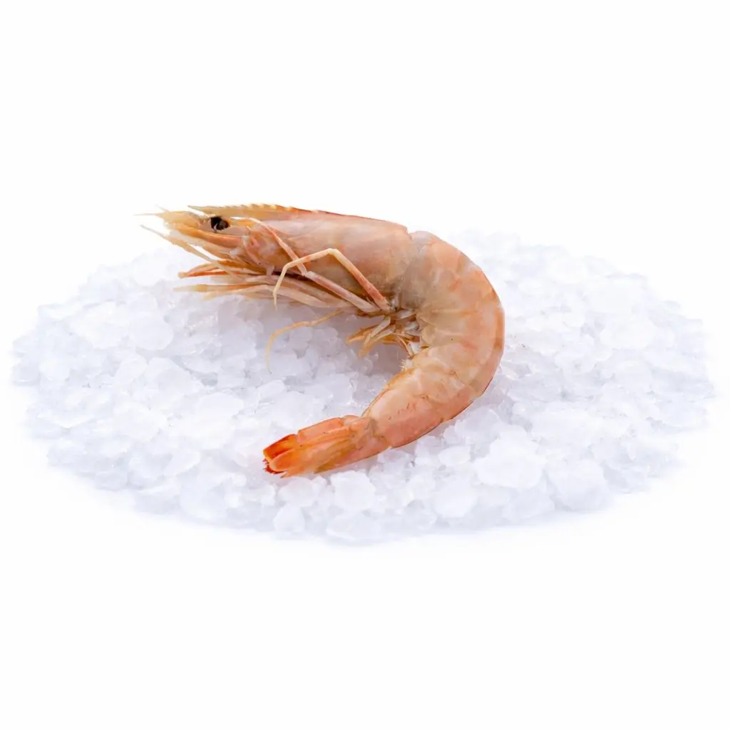 crevette