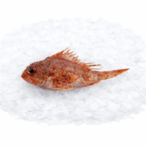 d0b42f7a-5c98-40d5-a132-6e0c96836b50