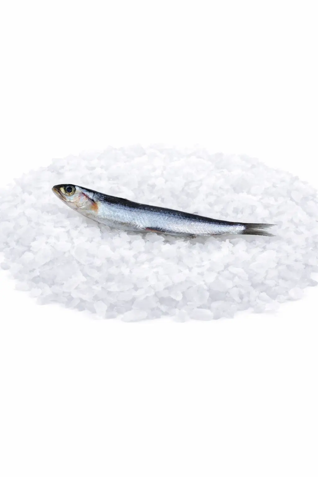 d9c67a2b-2730-44fa-b1e5-ac6f93a11de4