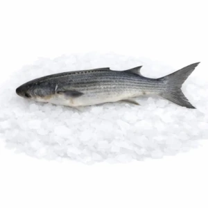 df228629-376e-4736-8415-87a820f59d56