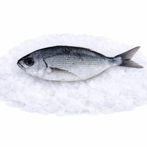 e1ce08c4-0b81-4445-aa4b-53646aadb281