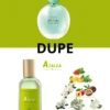 GREEN - ACQUA ARMANI - azal