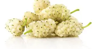 توت 1
