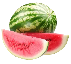دلاع