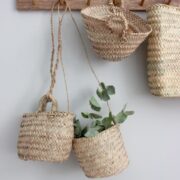 282ebe03-0712-4a7c-bb37-b6e3973cc69f